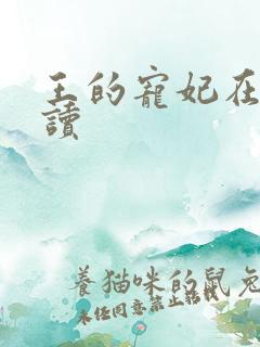 王的宠妃在线阅读