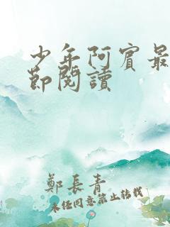 少年阿宾最新章节阅读