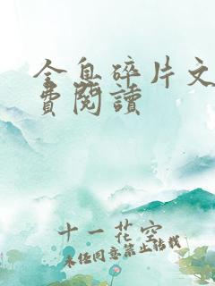 全息碎片文轩免费阅读