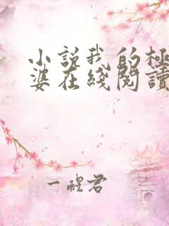 小说我的极品老婆在线阅读