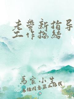 老带新指导教师工作总结