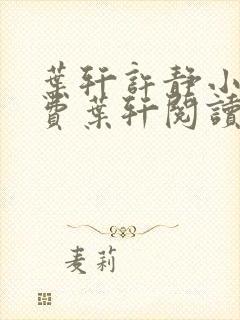 叶轩许静小说免费叶轩阅读全文阅读