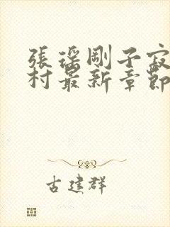 张瑶刚子寂寞山村最新章节更新时间