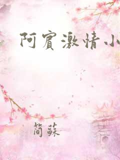 阿宾激情小说