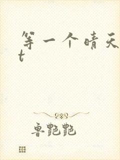 等一个晴天txt