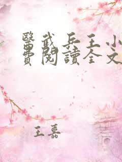 医武兵王小说免费阅读全文