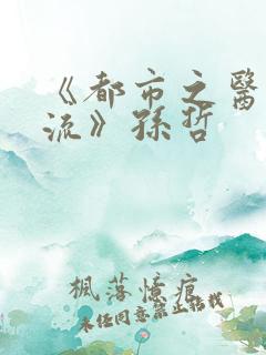 《都市之医武风流》孙哲