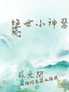 绝世小神医秦小飞