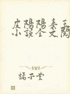 皮阳阳秦玉洁的小说全文阅读一