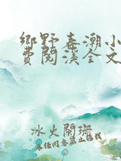 乡野春潮小说免费阅溪全文