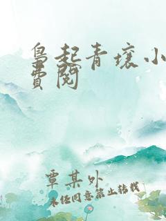 枭起青壤小说免费阅
