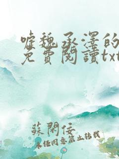 嘘魏承泽的小说免费阅读txt