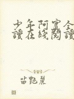少年阿宾全文阅读在线阅读全文