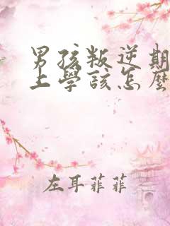 男孩叛逆期不想上学该怎么办