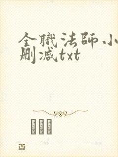 全职法师小说无删减txt