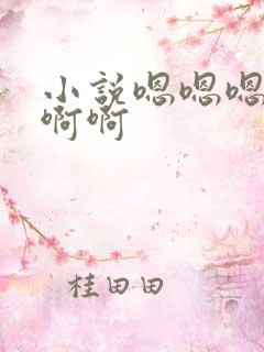 小说嗯嗯嗯啊啊啊啊