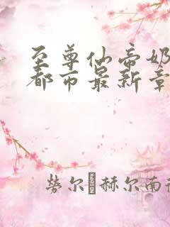 至尊仙帝奶爸在都市最新章节