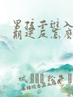 男孩子进入青春期逆反怎么解决