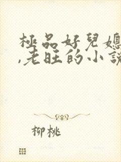 极品好儿媳秦雨,老旺的小说免费阅读全文