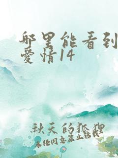 哪里能看到乡村爱情14