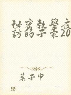 秘密教学夜晚到访的子豪20话