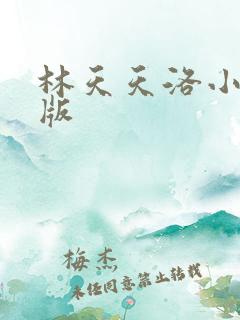 林天天洛小说正版
