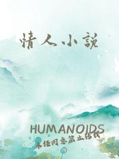情人小说