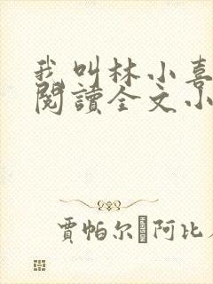 我叫林小喜免费阅读全文小说