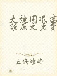 大被同眠高粱小说原文免费阅读