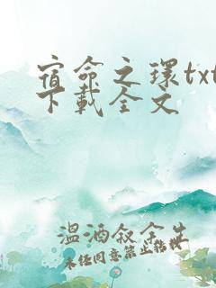 宿命之环txt下载全文
