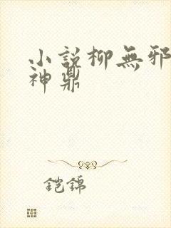 小说柳无邪吞天神鼎
