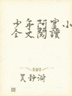 少年阿宾小说 全文阅读