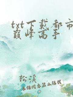 txt下载都市巅峰高手