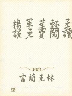 杨军叶轻柔的小说免费阅读无弹窗