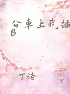 公车上我插上骚B