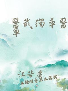 医武独尊医武独尊