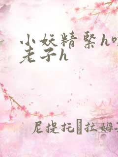 小妖精紧h嘶爽老子h