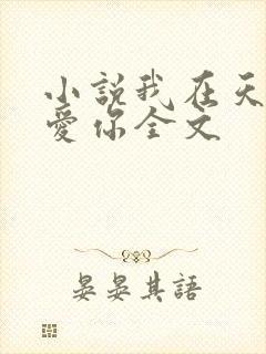 小说我在天堂说爱你全文