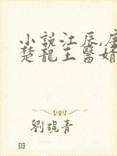 小说江辰,唐楚楚龙王医婿