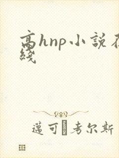高hnp小说在线