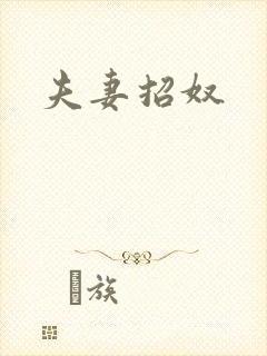夫妻招奴