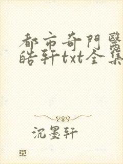 都市奇门医圣叶皓轩txt全集下载