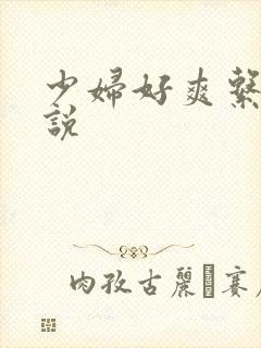 少妇好爽系列小说