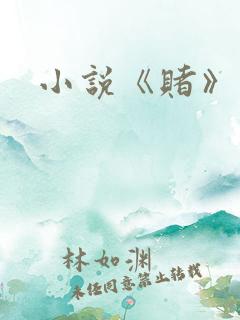 小说《赌》
