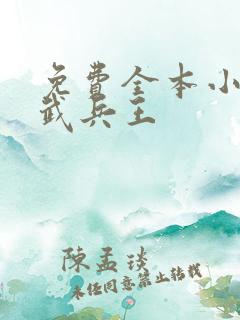 免费全本小说医武兵王