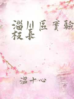 淄川区实验小学校长