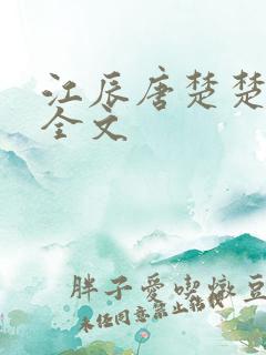 江辰唐楚楚最新全文