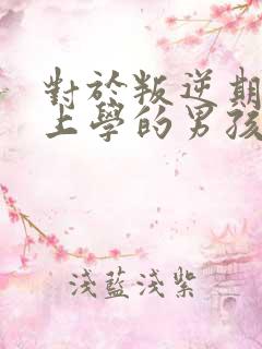 对于叛逆期不想上学的男孩子怎么办