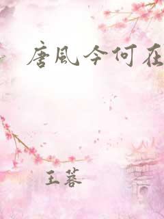 唐风今何在