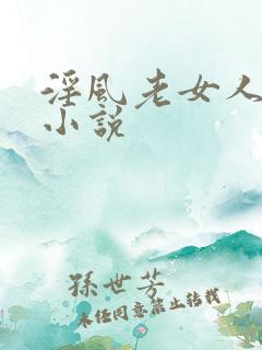 淫风老女人全部小说